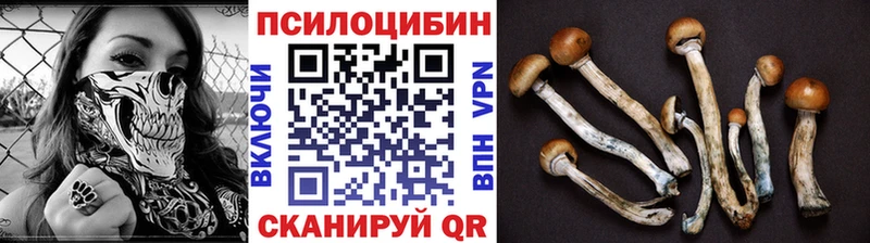 дарк нет телеграм  Верхний Тагил  Галлюциногенные грибы Cubensis 