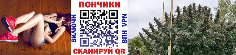 Каннабис марихуана  Верхний Тагил 